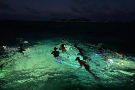Night-Time Snorkel at TurtleTown with Stars, Lights, and Photos