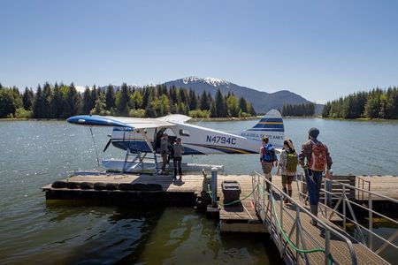Pack Creek Brown Bear Viewing Juneau 