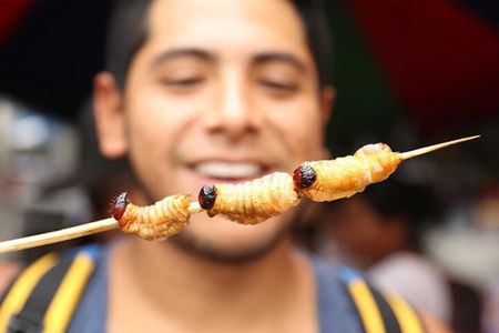 Bizarre Foods Tour for Adventurous Foodies