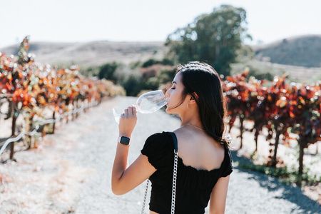 Muir Woods & Wine Country