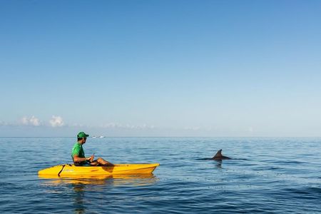 Guided Kayak 2-Hour Activity with Dolphins