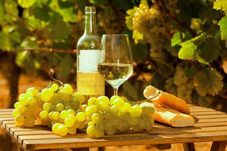Private Double Wine Tasting Tour in Frascati - Exclusive