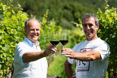 Trentino Wine Journey: Organic Vineyards & Local Delights