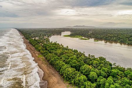 Tortuguero National Park - Admission Ticket