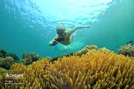 OnBird - PRIVATE ADVENTURE SNORKELING - explore Half-moon reef & Coral Mountain