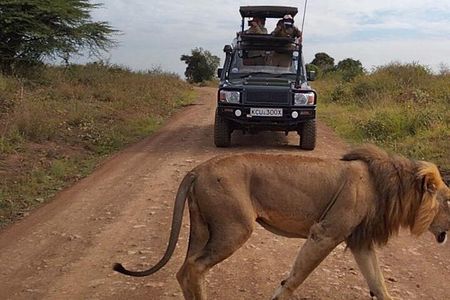 Nairobi National park private day tour