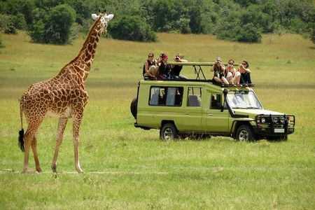 3 Days Masai Mara Budget Camping Safari on 4X4 Land Cruiser