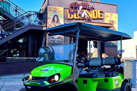 Stretch Limo Party Cart - Custom Bar Crawls, Wine Tastings, Night Clubs & More
