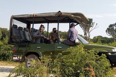 Kenya Volunteering Safari 