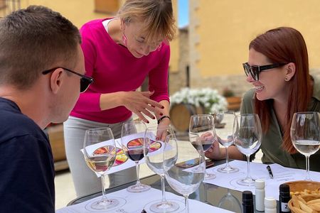 La Rioja Boutique Wine Tour & Charming Lunch (From Bilbao)