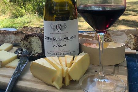Cheese and Wine Pairing 1-Hour Session in Dijon