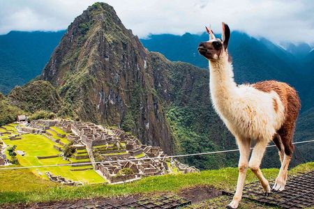 Machu Picchu Day Trip from Ollantaytambo & Urubamba