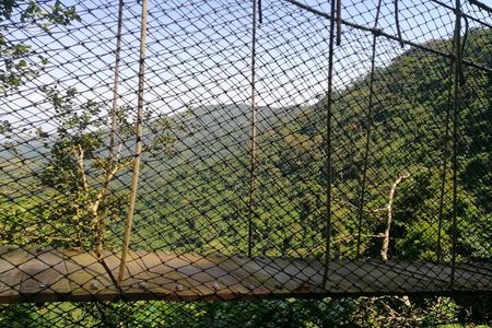 Full-Day Volta Experience ( Mount Gemi and Monkey Sanctuary) Private Tour