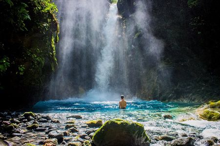 Rainforest Land of Senses Walking and Thermals Tour