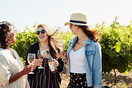Cape Winelands Explore Full Day Tour with Private Transfer
