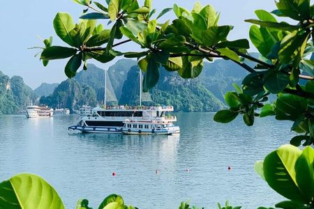 LUXURY DAY CRUISES with 07 Hours Visit Halong Bay & Buffet Lunch