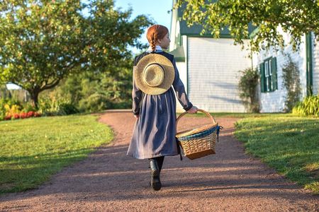 Green Gables House & Our Island Experience
