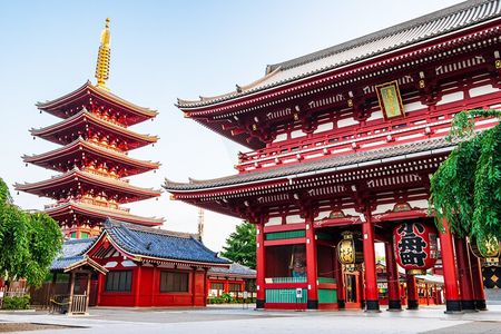 Private Tokyo Tour with Licensed Guide & Vehicle (Max 15 persons)