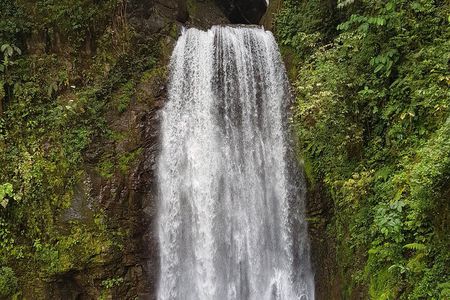 El Tigre Waterfalls Hiking Tour with Lunch and Nature Guide 