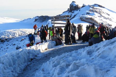 7 Days Machame Route Kilimanjaro Hiking | Climbing Tour 