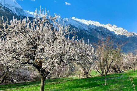 9-Day Package Tour Colors of Hunza Valley 