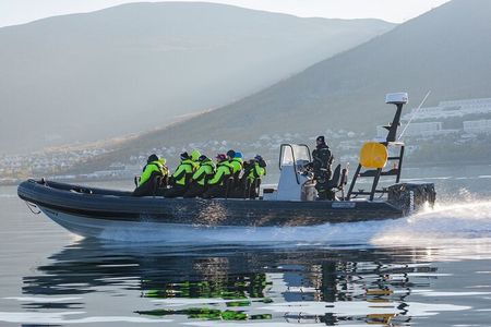 Tromso Skjervoy Whale Watching on RIB Boat with Snack and Drink