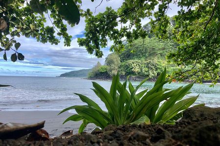 Tahiti: Tour of the East or West Coast (Half Day)