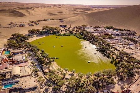 From Lima: Full day Paracas - Ica