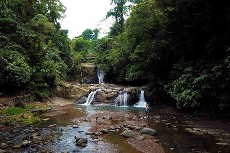 Cahuita National Park Nature Walk & Waterfall Tour