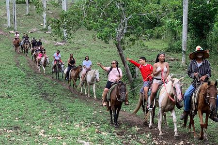 Horseback Riding with Pickup from Punta Cana