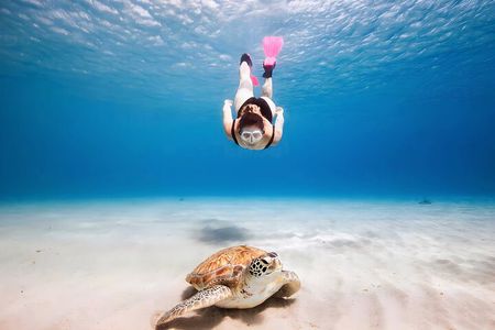 Turtle Sightseeing at Akumal & Underground Caves Tour