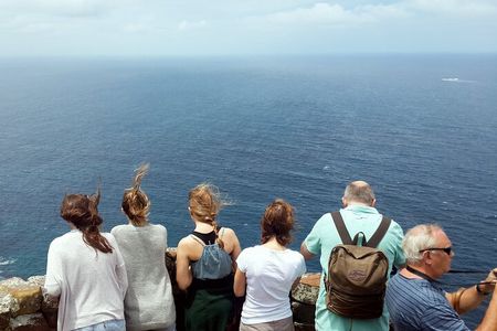Cape Point & Penguins: A Private Cape Peninsula Guided Day Tour.