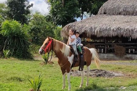 Horseback Riding tour near Santo Domingo with pick up and dropoff