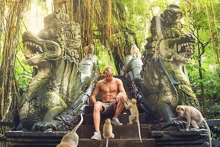 Ubud Tour With Sacred Monkey Forest Sanctuary - Waterfall - Rice Terrace