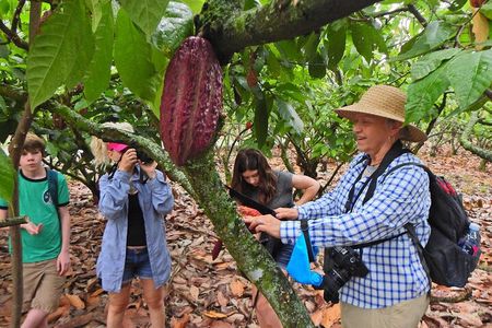 Cocoa and Cloud Forest private full day tour