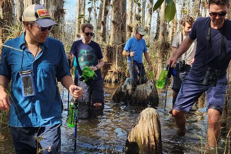 Everglades Tour w/ Biologist Led WET walk + 2 Boat Trips + Lunch!