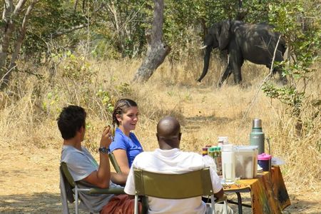 Chobe Safari Overnight Camping Trip