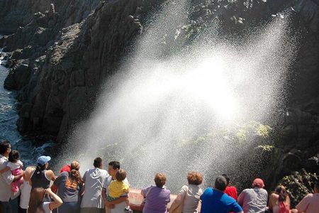 Baja Mexico one day regional tour 
