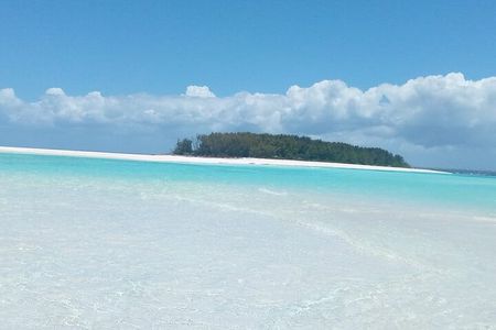 Half-Day Private Guided Mnemba Island Snorkeling Adventure