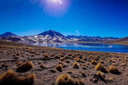 Piedras Rojas + Altiplanic Lagoons and Salar de Atacama