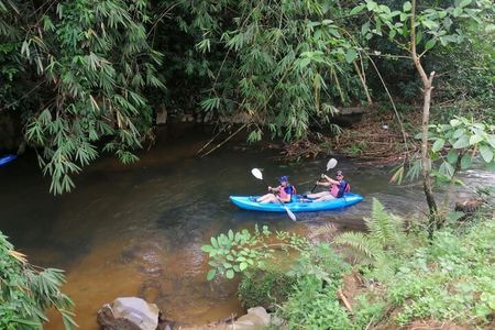 Rainforest Kayaking with Semenggoh Orangutan Center from Kuching