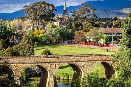 Day Tour in Mt. Field, Mt. Wellington, Bonorong Wildlife Sanctuary and Richmond