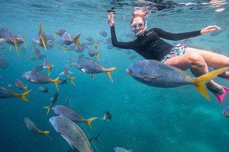 Maafushi: Full Day Snorkeling and Island Hopping Experience
