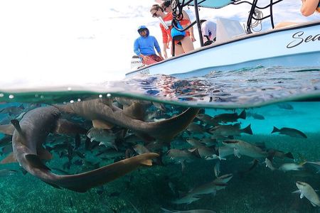 Hol Chan Snorkeling with 6 Amazing Stops!