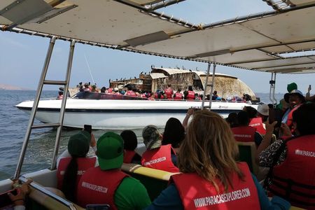 Full Day Paracas Islas Ballestas with Sandboarding and Dune Buggy