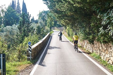 Active Full Day Tuscan Bike Tour With Wine Tasting and Lunch