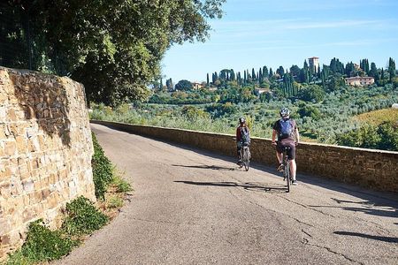 Full-Day Tuscany and Chianti Hills Bike Tour With Lunch at Farm