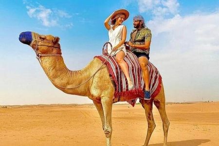 Half-Day Private Morning Desert Safari by 4x4 Car