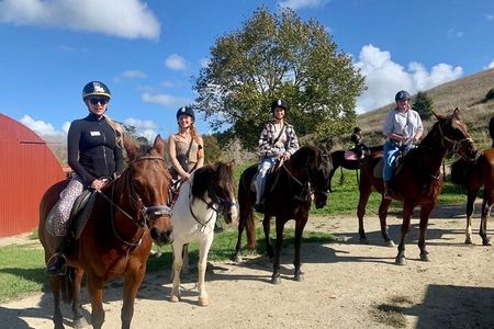 Private Tour - Horse Riding, Wine Tasting and Art Trail 