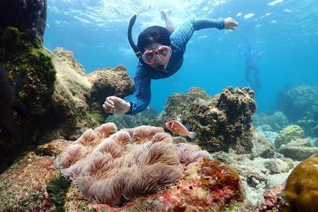 Snorkeling Full Day Experience from Bangkok